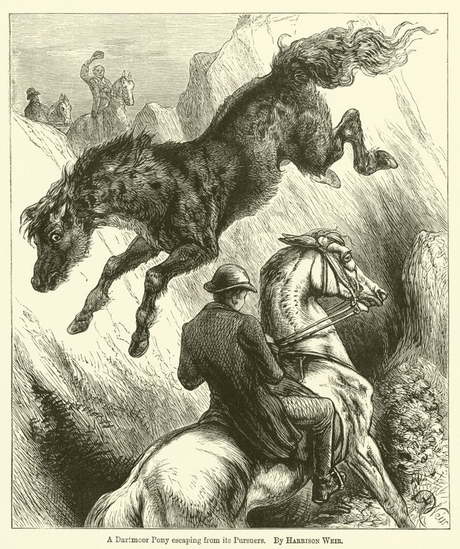 Un poney de Dartmoor échappant à ses poursuivants - Harrison William Weir