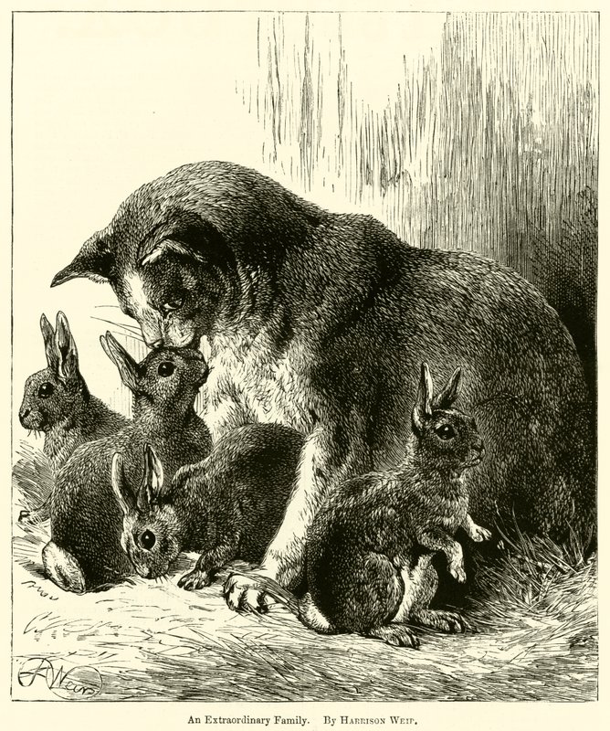 Une famille extraordinaire - Harrison William Weir