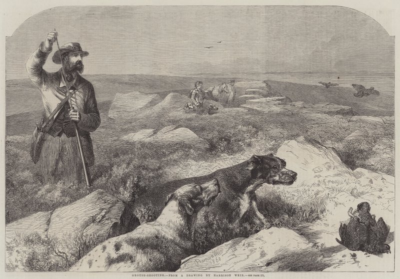 Chasse au tétras (gravure) - Harrison William Weir
