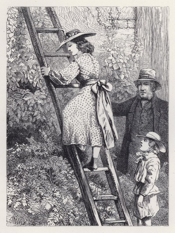 Harriet espionne le nid des rouges-gorges (gravure) - Harrison William Weir