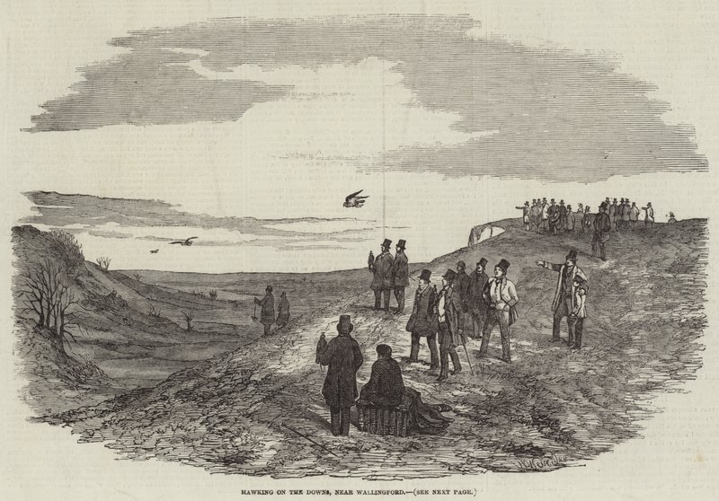Fauconnerie sur les Downs, près de Wallingford - Harrison William Weir