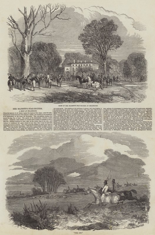 Les chiens de chasse de Sa Majesté à Hillingdon - Harrison William Weir