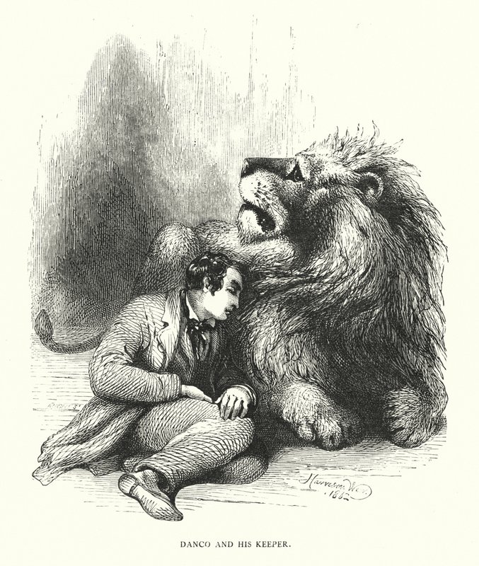Lion et son gardien - Harrison William Weir