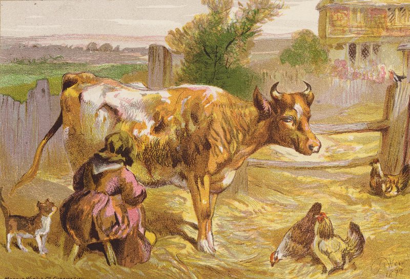 Vieille Nancy trayant la vache - Harrison William Weir