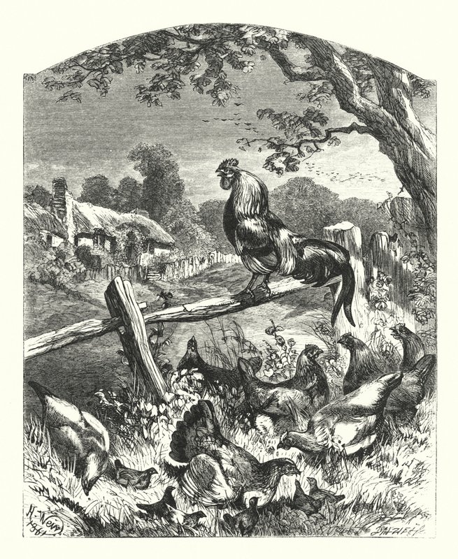 Éloge de la vie à la campagne - Harrison William Weir