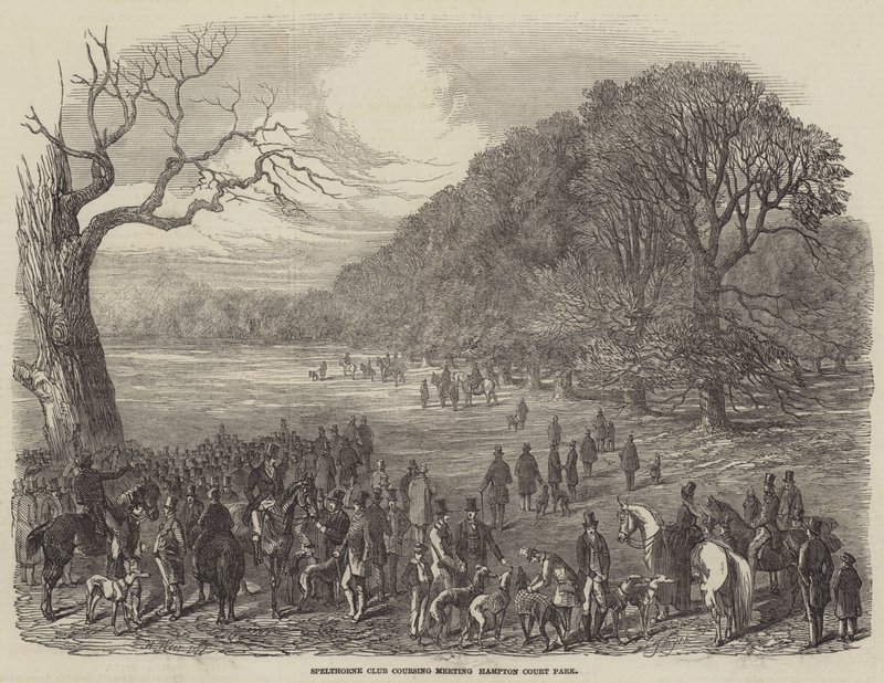 Réunion de coursing du Spelthorne Club, Hampton Court Park - Harrison William Weir