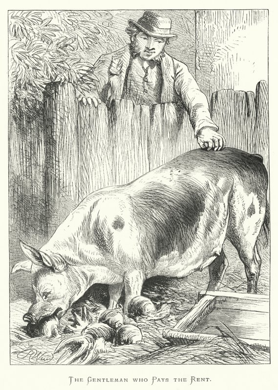 Le gentilhomme qui paie le loyer - Harrison William Weir