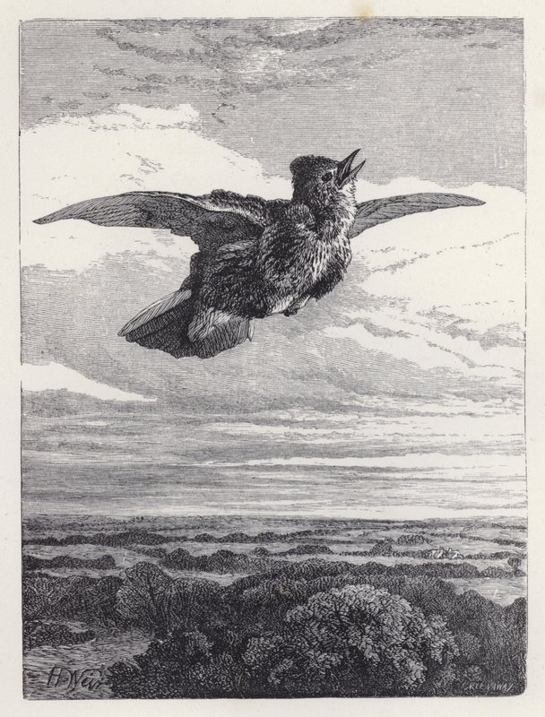 Le Chant de l