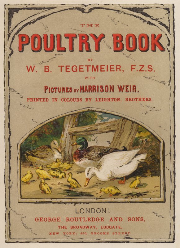 Illustration de la page de titre pour Le Livre de la Volaille par W B Tegetmeier - Harrison William Weir