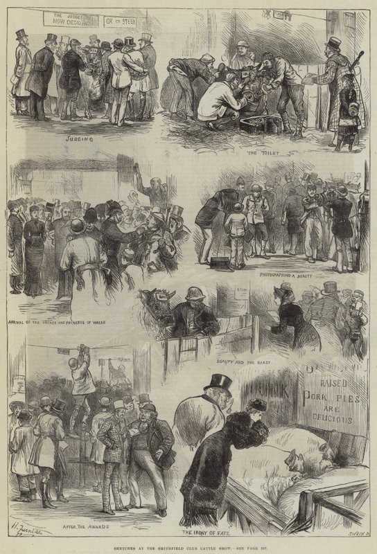 Esquisses au Smithfield Club Cattle Show - Harry Furniss