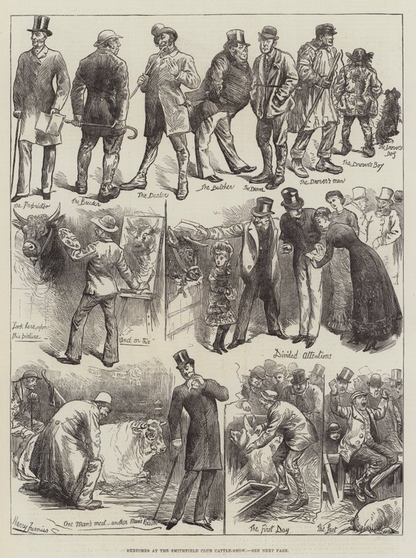 Croquis au Smithfield Club Cattle-Show - Harry Furniss
