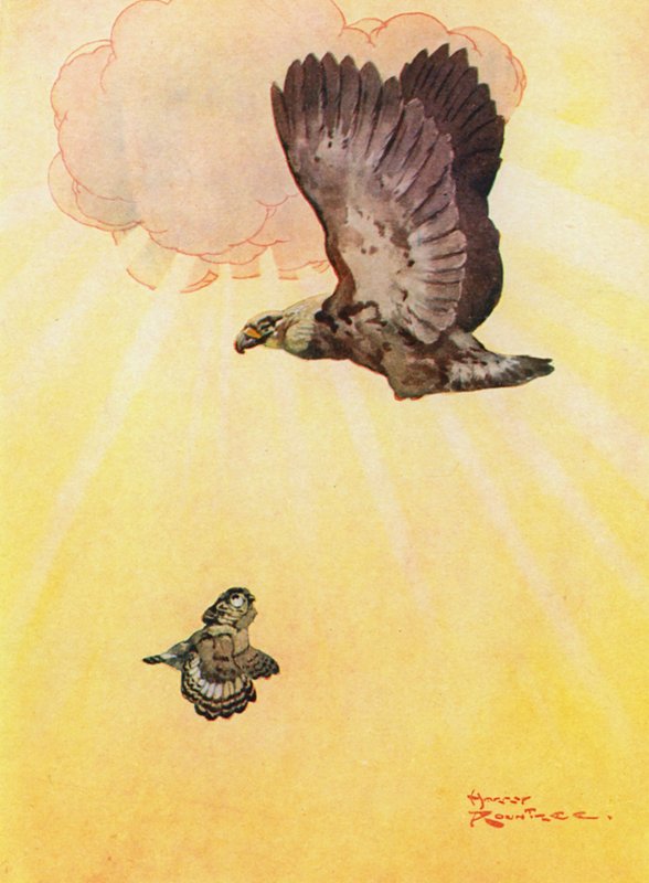 Le hibou et la fille de l
