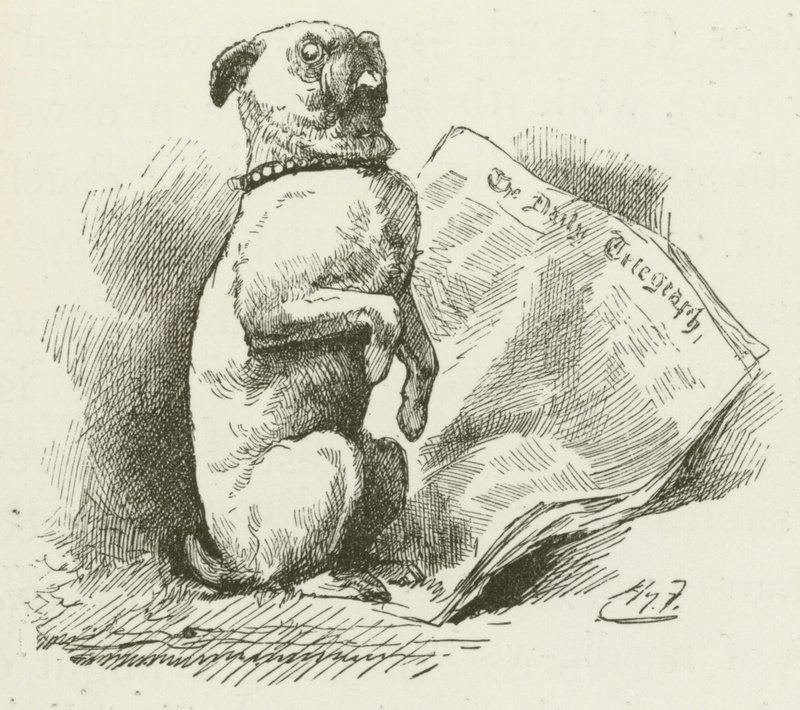 Illustration pour Sylvie et Bruno par Lewis Carroll - Harry Furniss