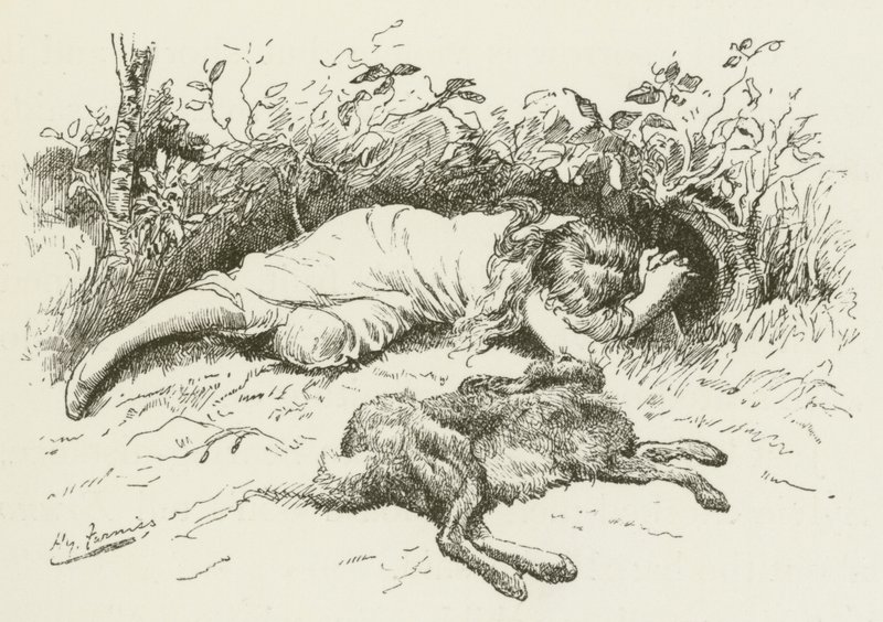 Illustration pour Sylvie et Bruno par Lewis Carroll - Harry Furniss