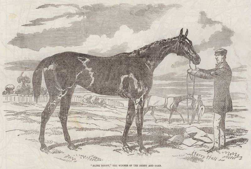 Blink Bonny, le gagnant du Derby et des Oaks - Harry Hall