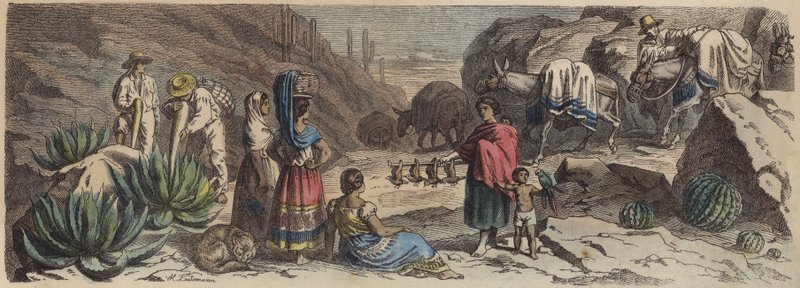 Une route de montagne au Mexique - Heinrich Leutemann