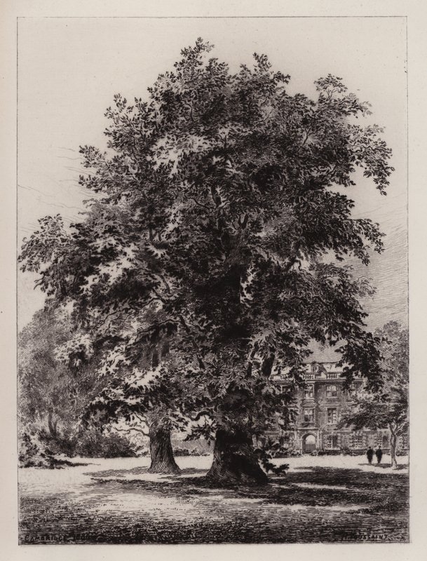 Cambridge : Le jardin du Christ