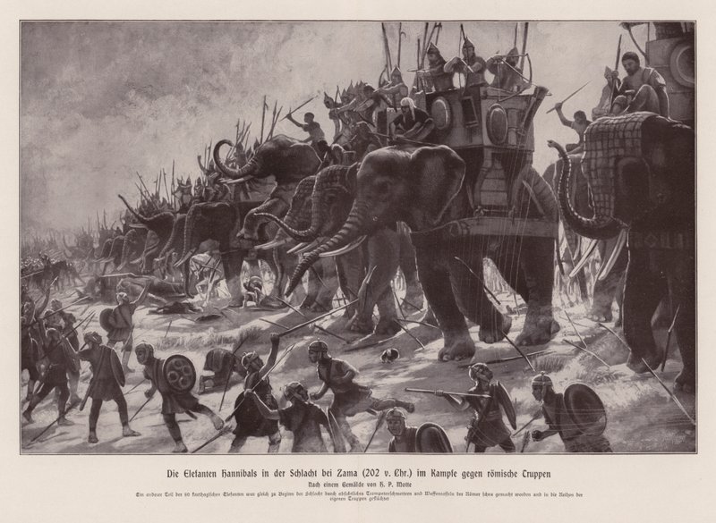 Les éléphants d