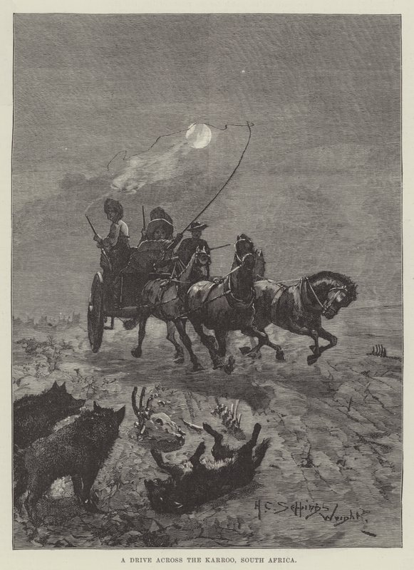 Une traversée du Karroo, Afrique du Sud - Henry Charles Seppings Wright