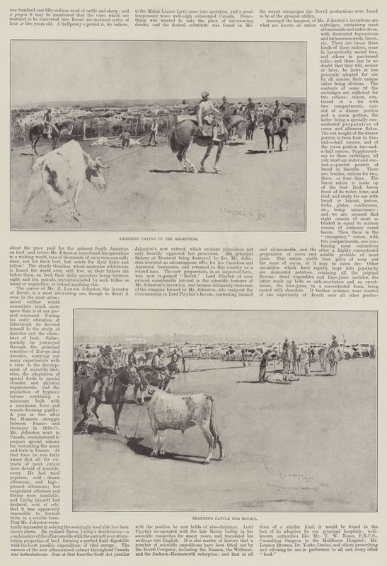 Bétail en Argentine - Henry Charles Seppings Wright