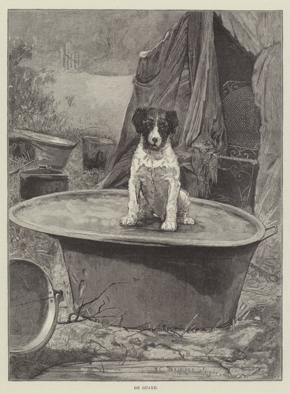 En garde - Henry Charles Seppings Wright