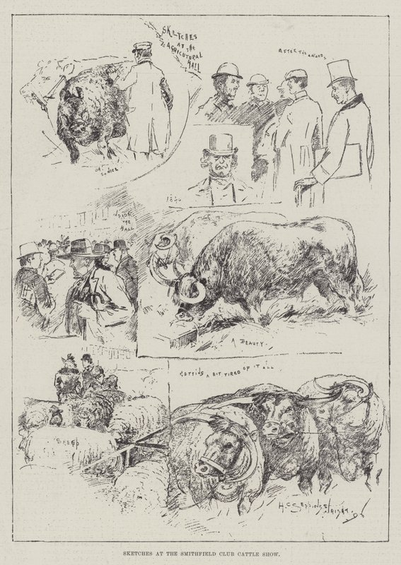 Croquis au salon du bétail du Smithfield Club - Henry Charles Seppings Wright