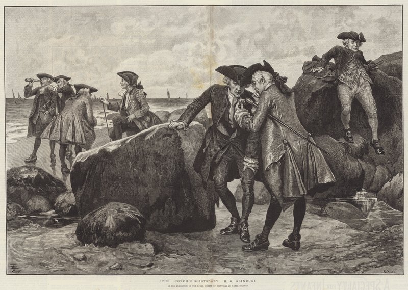Les conchyliologistes - Henry Gillard Glindoni
