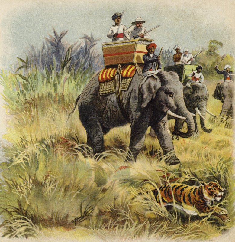 Le prince de Galles chassant le tigre en Inde - Henry Payne
