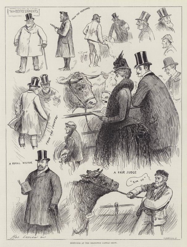 Croquis au salon du bétail d