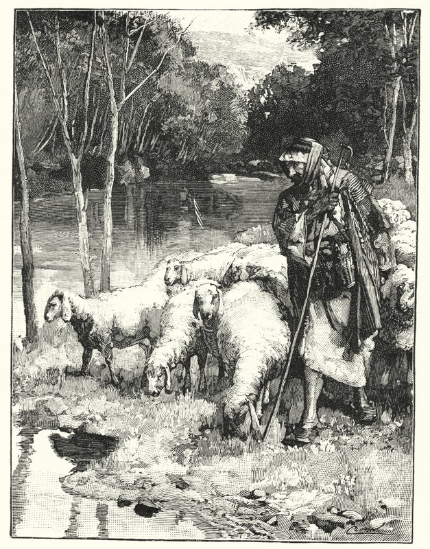 Un berger et son troupeau dans l