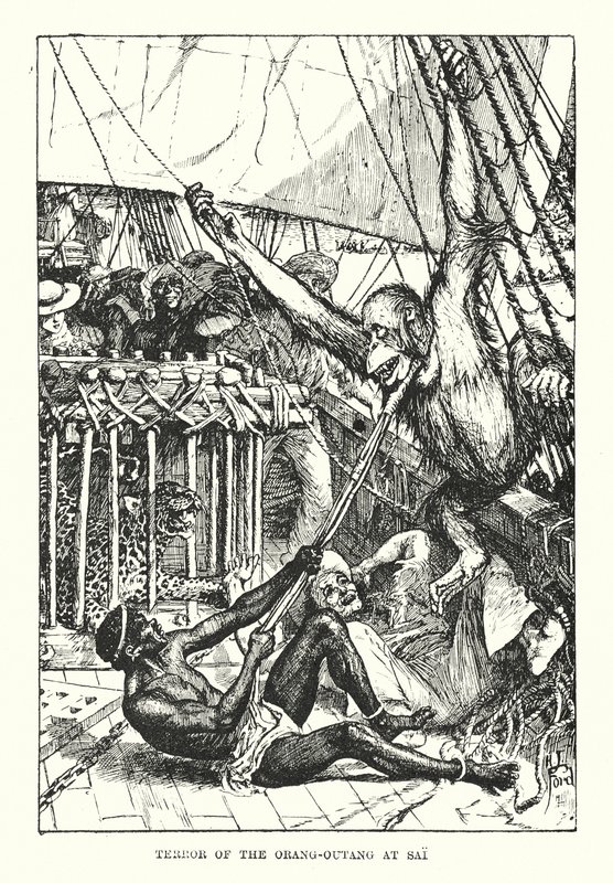 Terreur de l