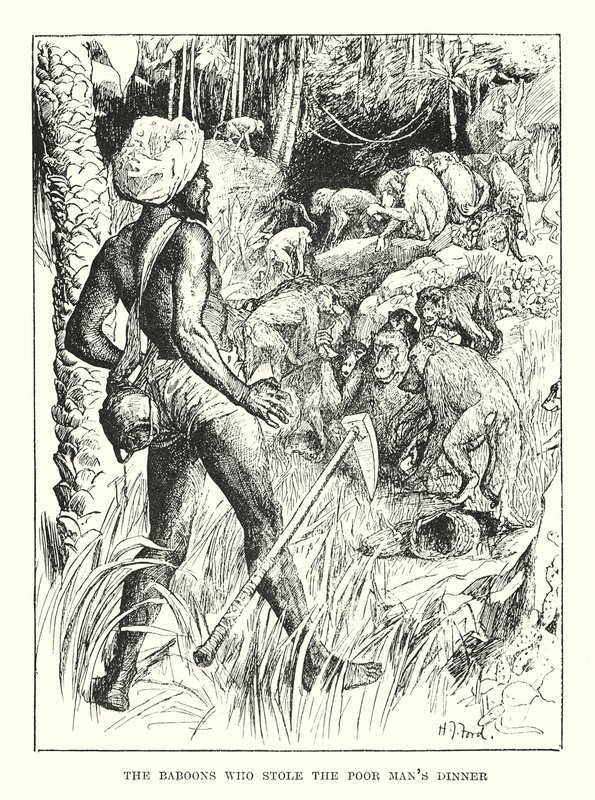 Les babouins qui ont volé le dîner du pauvre homme - Henry Justice Ford