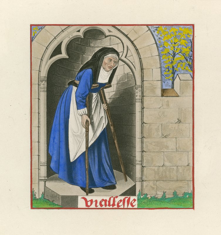 Vieillesse, de la Romance de la Rose, c. 1480 - Henry Shaw