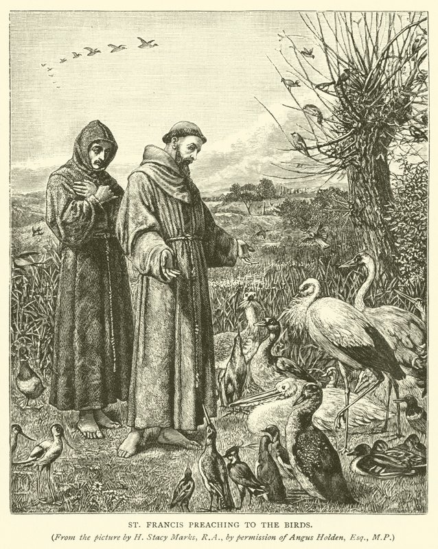 Saint François prêchant aux oiseaux - Henry Stacey Marks