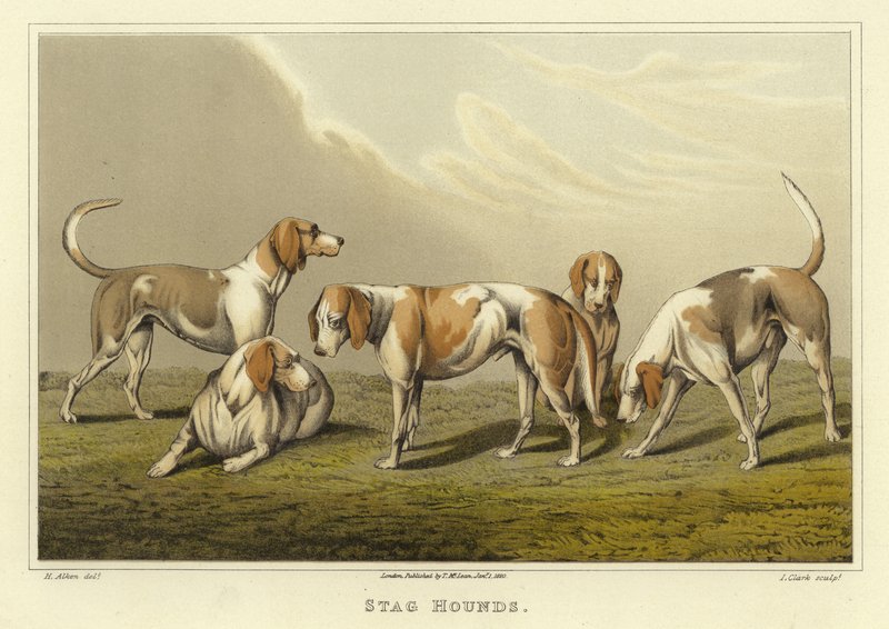 Chiens de chasse (chromolithographie) - Henry Thomas Alken