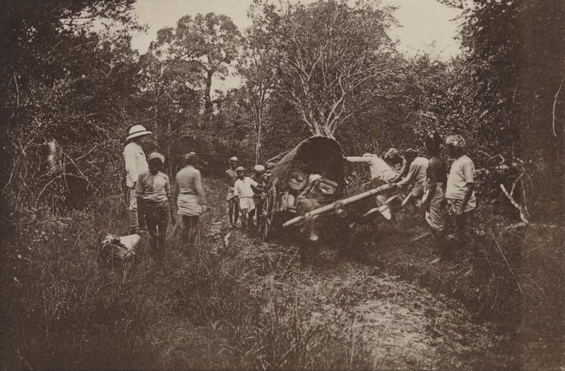 Villes en ruines de Ceylan : en route pour Polonnaruwa - Henry W. Cave
