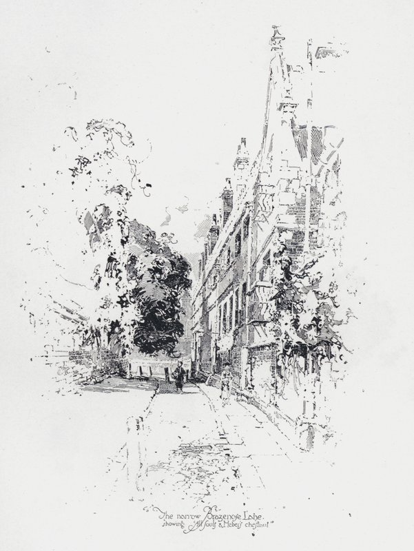 La ruelle étroite de Brasenose, Oxford, montrant le collège All Souls et le marronnier de Reginald Heber - Herbert (after) Railton
