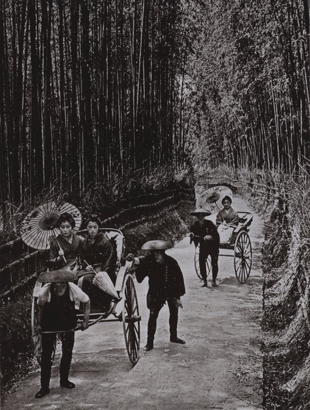 Une avenue de bambous à Kyoto (photo n/b) - Herbert Ponting
