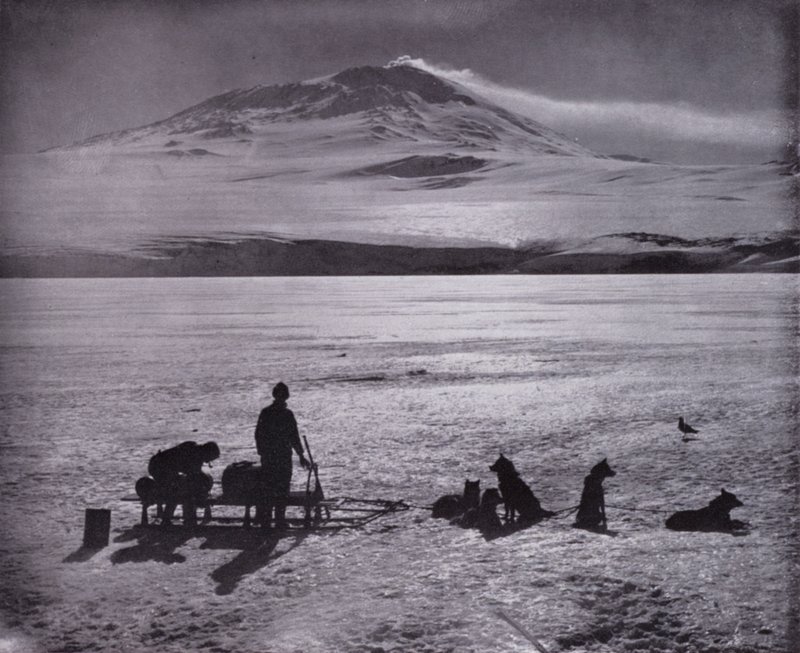 Traîneau et chiens, avec le mont Erebus en arrière-plan - Herbert Ponting