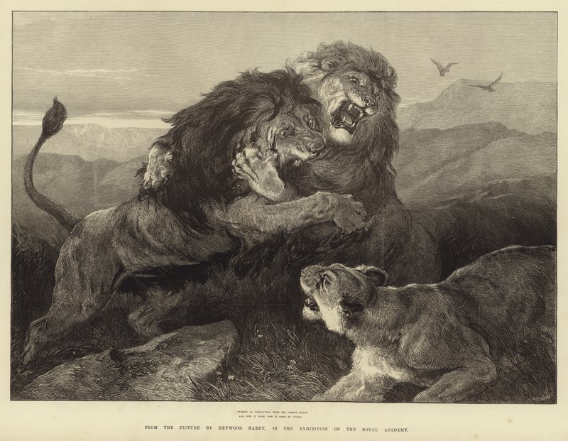 Féroce comme des feux conflictuels, le combat brûle - Heywood Hardy