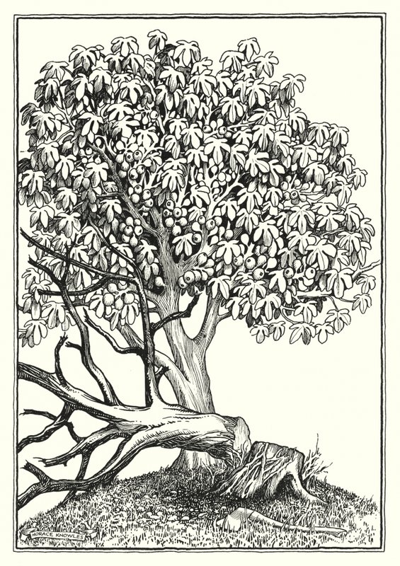 Illustration du Sermon sur la montagne (gravure) - Horace J. Knowles