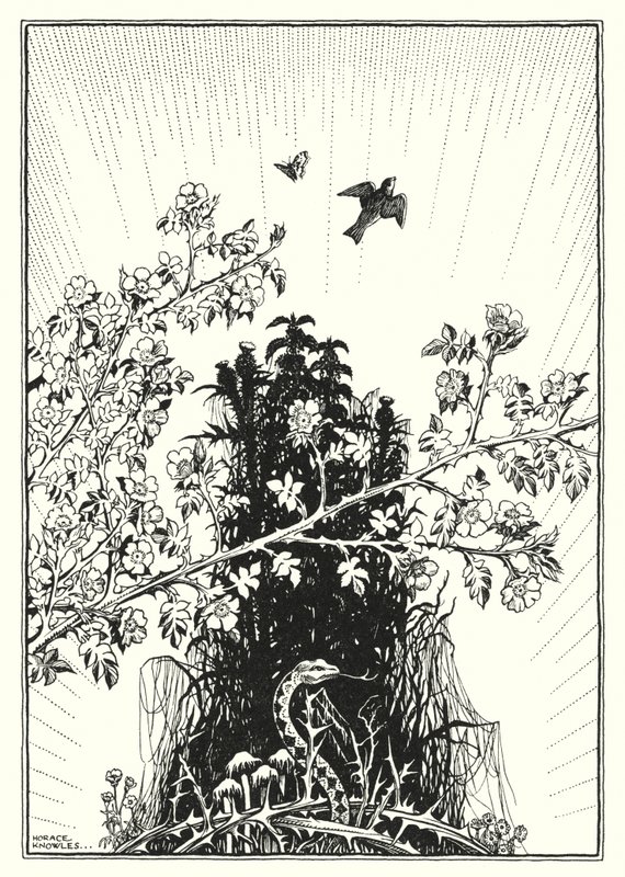 Illustration du Sermon sur la montagne (gravure) - Horace J. Knowles