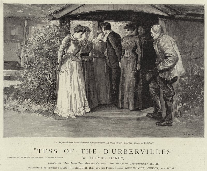 Tess d