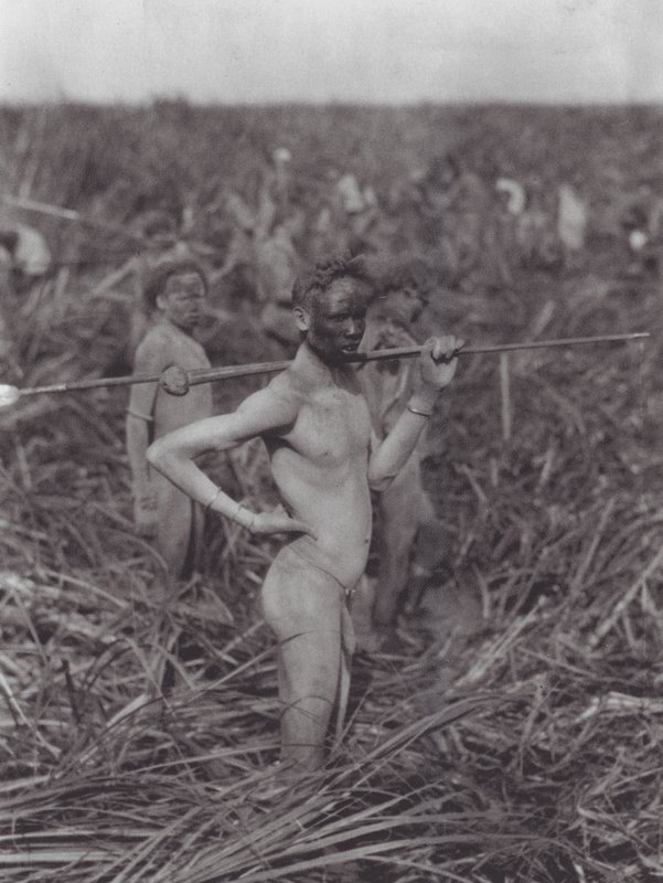 Afrique : Guerriers Nuer dans un marais - Hugo Adolf Bernatzik