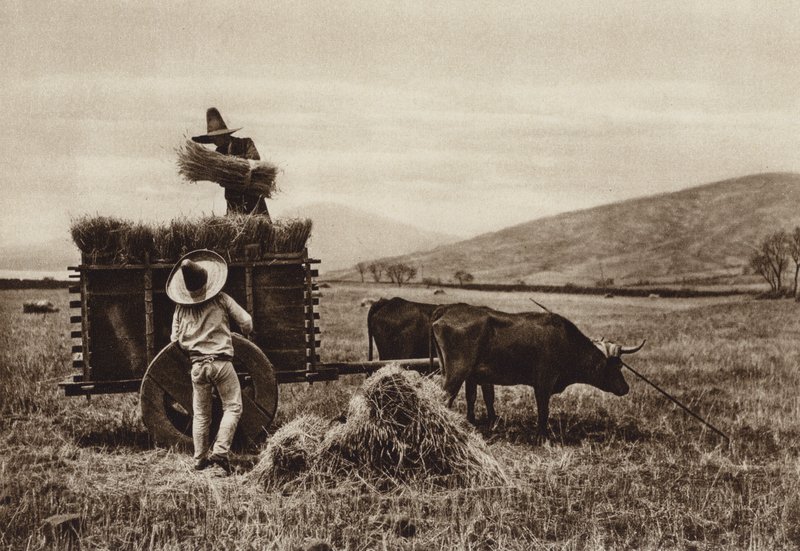 Mexique : agriculteurs récoltant du blé (photo n/b) - Hugo Brehme