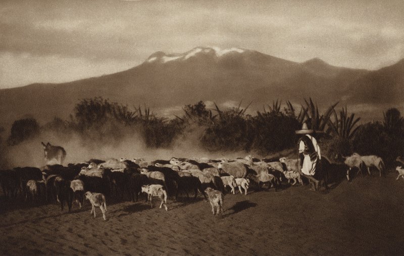 Mexique : les environs d