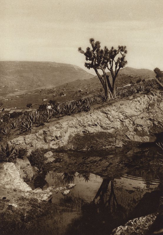 Mexique : les environs de Toluca (photo n/b) - Hugo Brehme