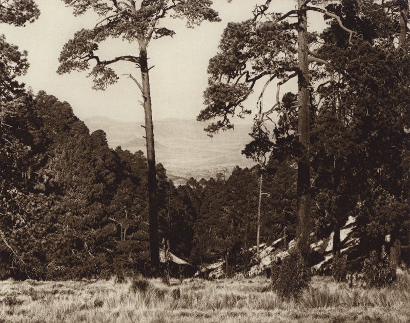 Mexique : panorama sauvage au pied du Pico de Orizaba (photo n/b) - Hugo Brehme
