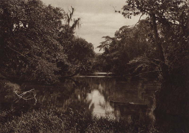 Mexique : Tamasopo, Panorama del rio, Etat de Vera Cruz (photo n/b) - Hugo Brehme