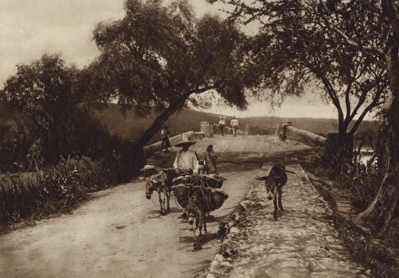 Mexique : Une route dans les montagnes du Mexique (photo n/b) - Hugo Brehme